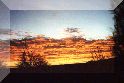 treasureoftahiti.gif